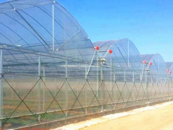 薄膜拱形連棟溫室