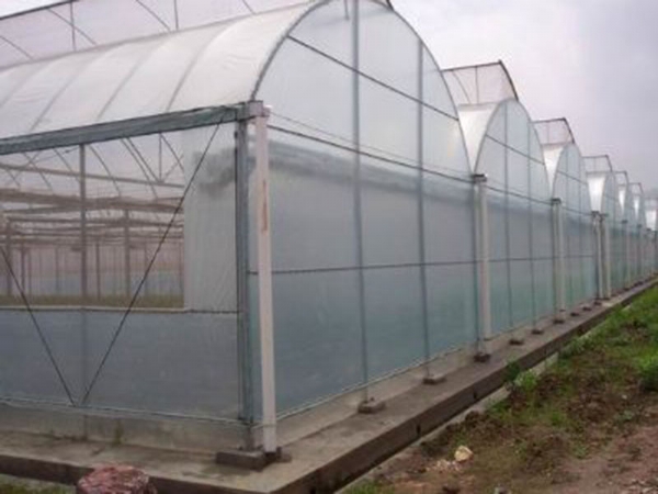 薄膜拱形連棟溫室
